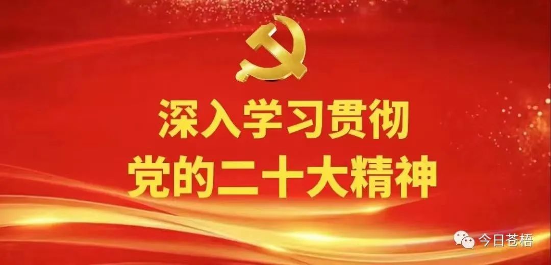 篮球训练心得300字怎么写的_1
